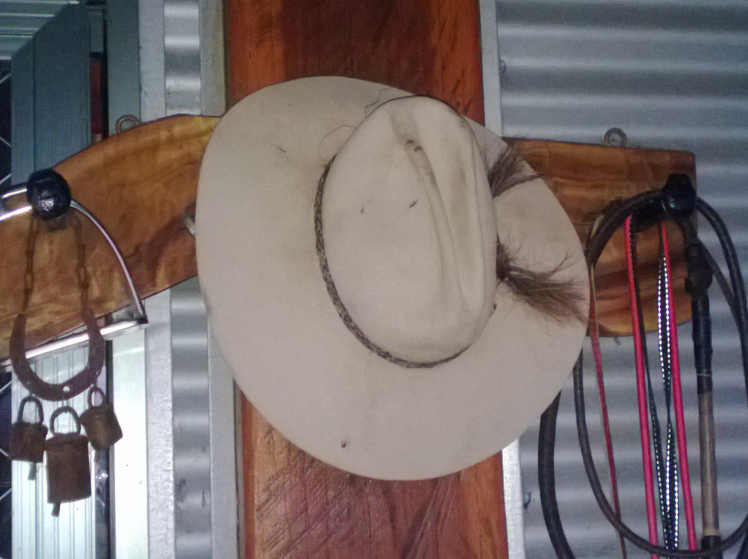 Marchioness B&B Farmstay主图