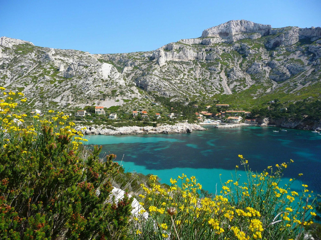 Camp 4-尼斯必去景点