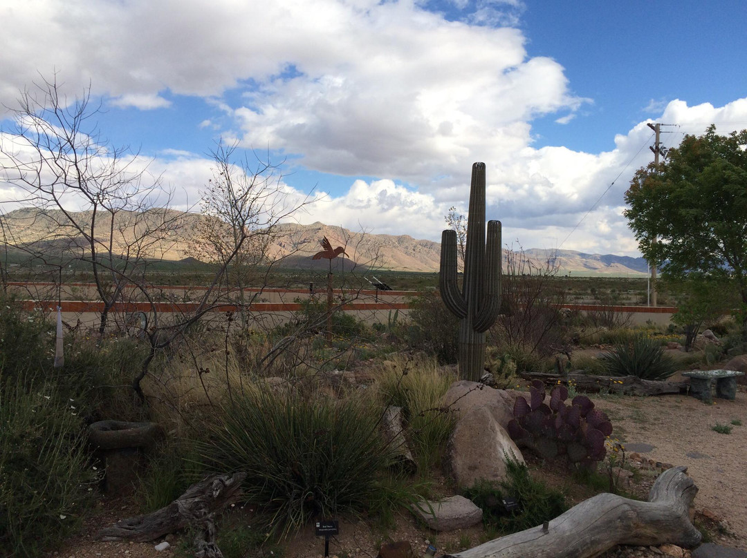 Chiricahua Desert Museum景点图片