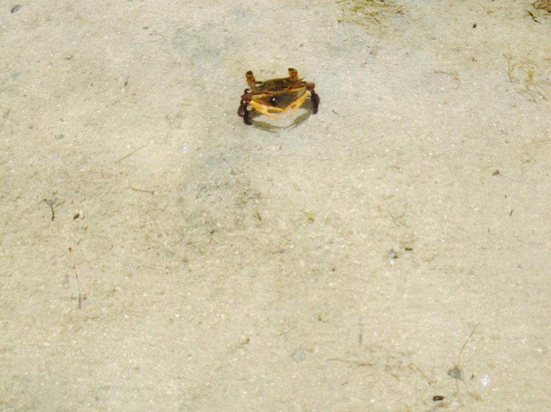 Reserva Natural Medio Mundo y Daguao-Ceiba必去景点