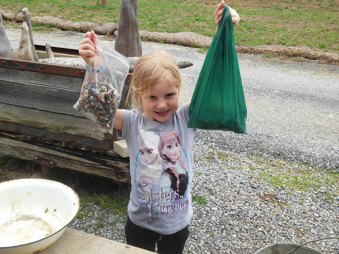 Little River Gem Mine-塞维尔维尔必去景点