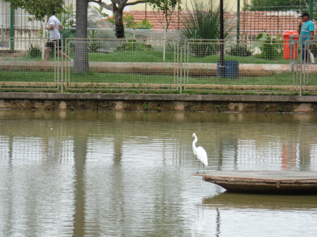 Lago de Vila Galvão-瓜鲁柳斯必去景点