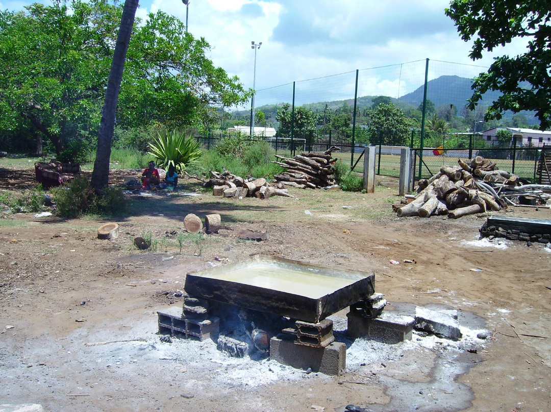 Ecomusee Du Sel De Bandrele-Bandrelé必去景点