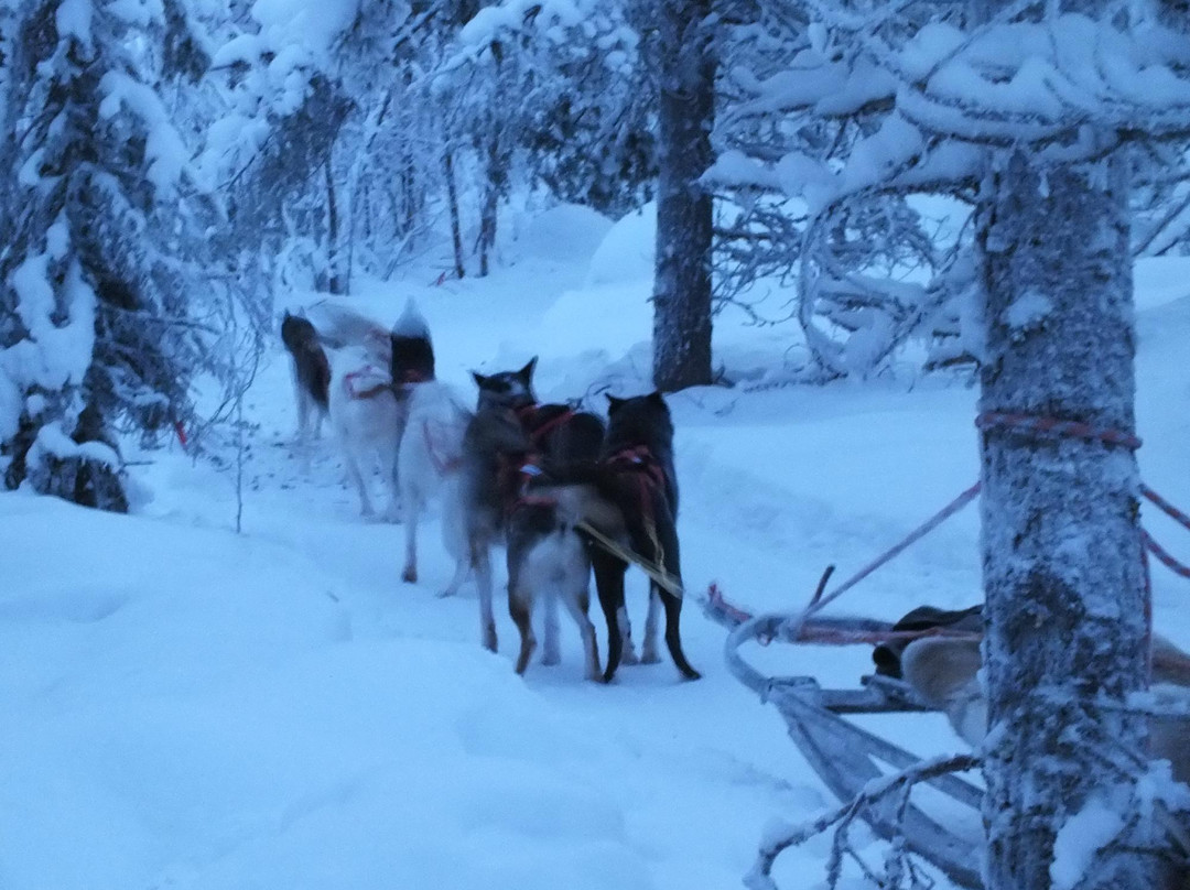 Polar Lights Tours-Sirkka必去景点