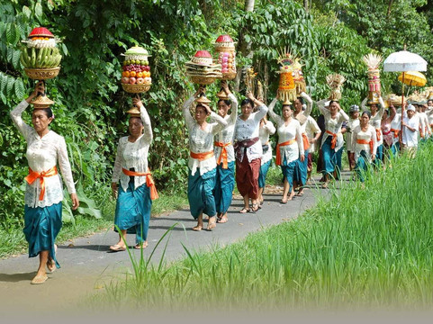 Big Bali Tours and Activities-乌布必去景点