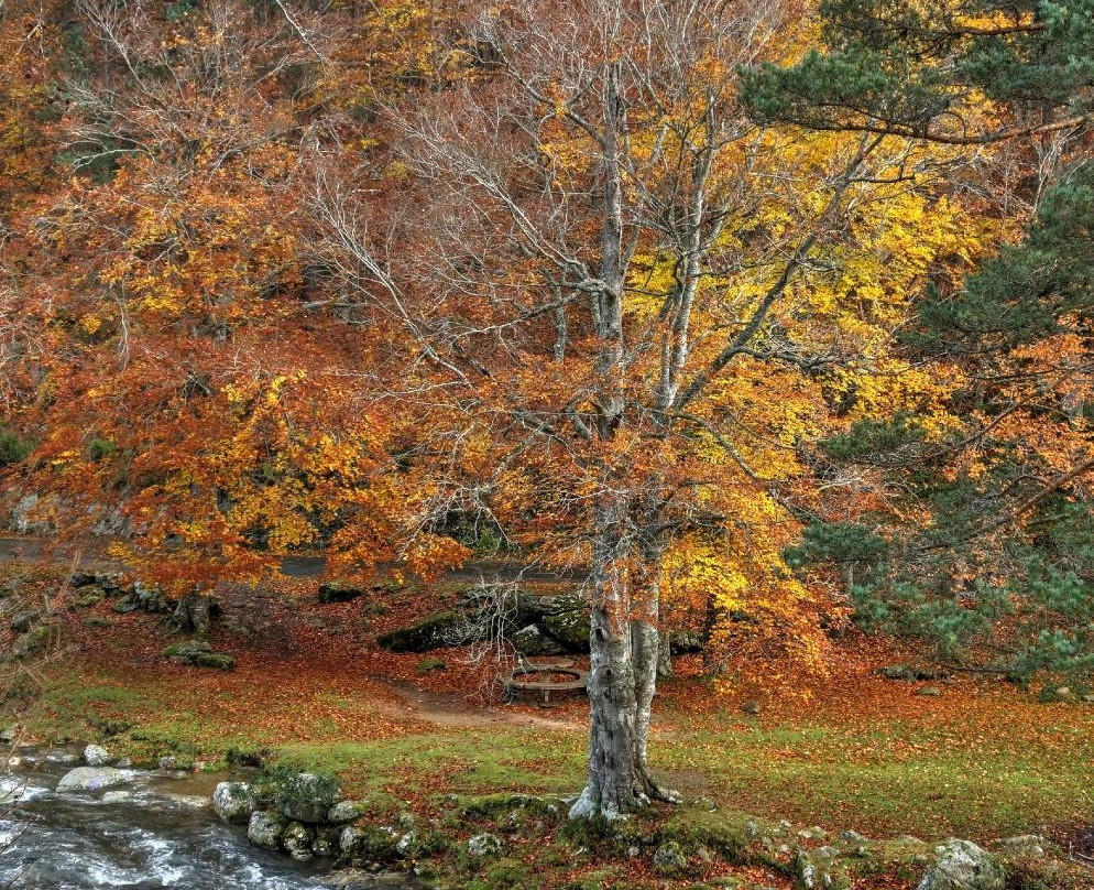Parque Natural Sierra Cebollera景点图片