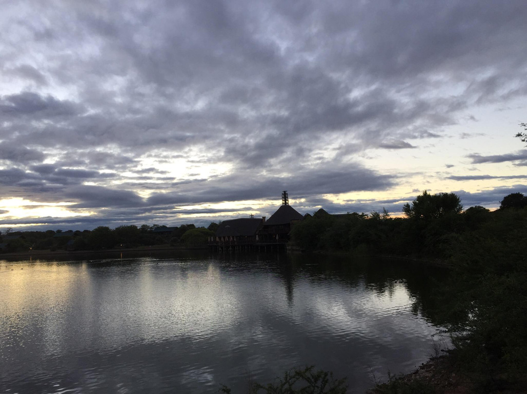 Buffelsdrift Game Lodge - Activities-奥兹洪必去景点