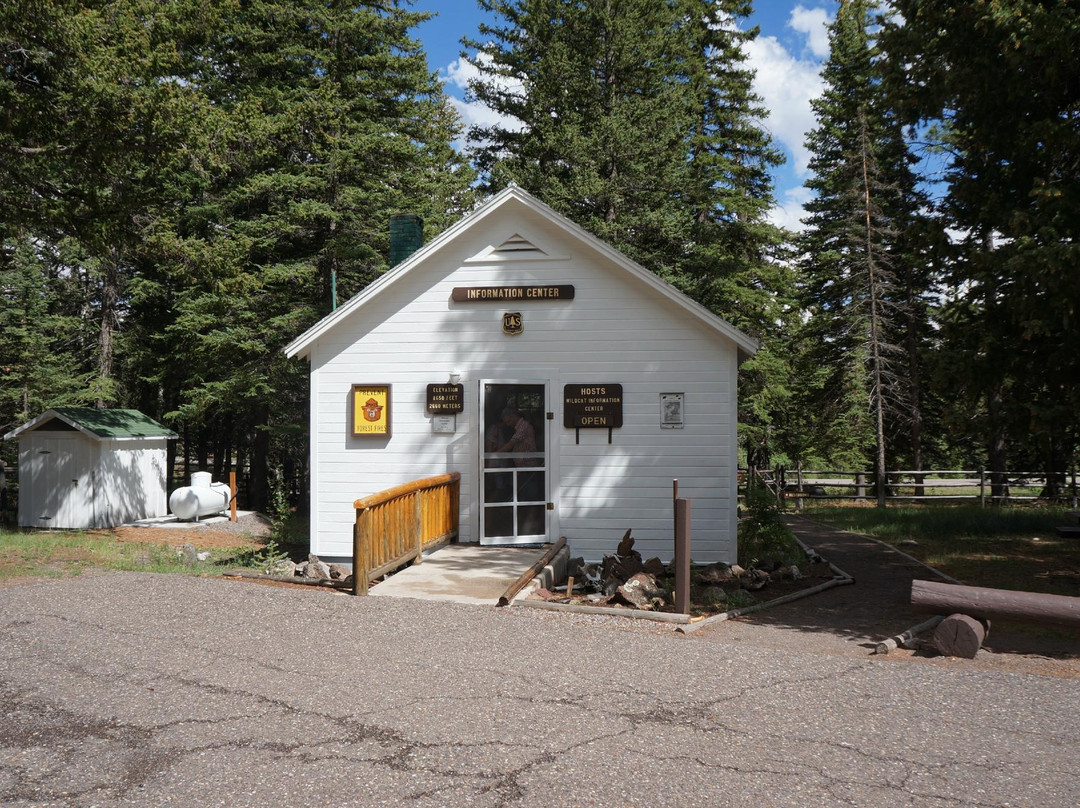 Wildcat Guard Station-圆顶礁国家公园必去景点