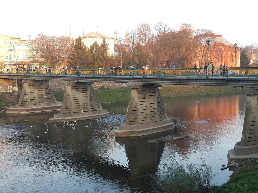 Pedestrian Bridge-乌日霍罗德必去景点