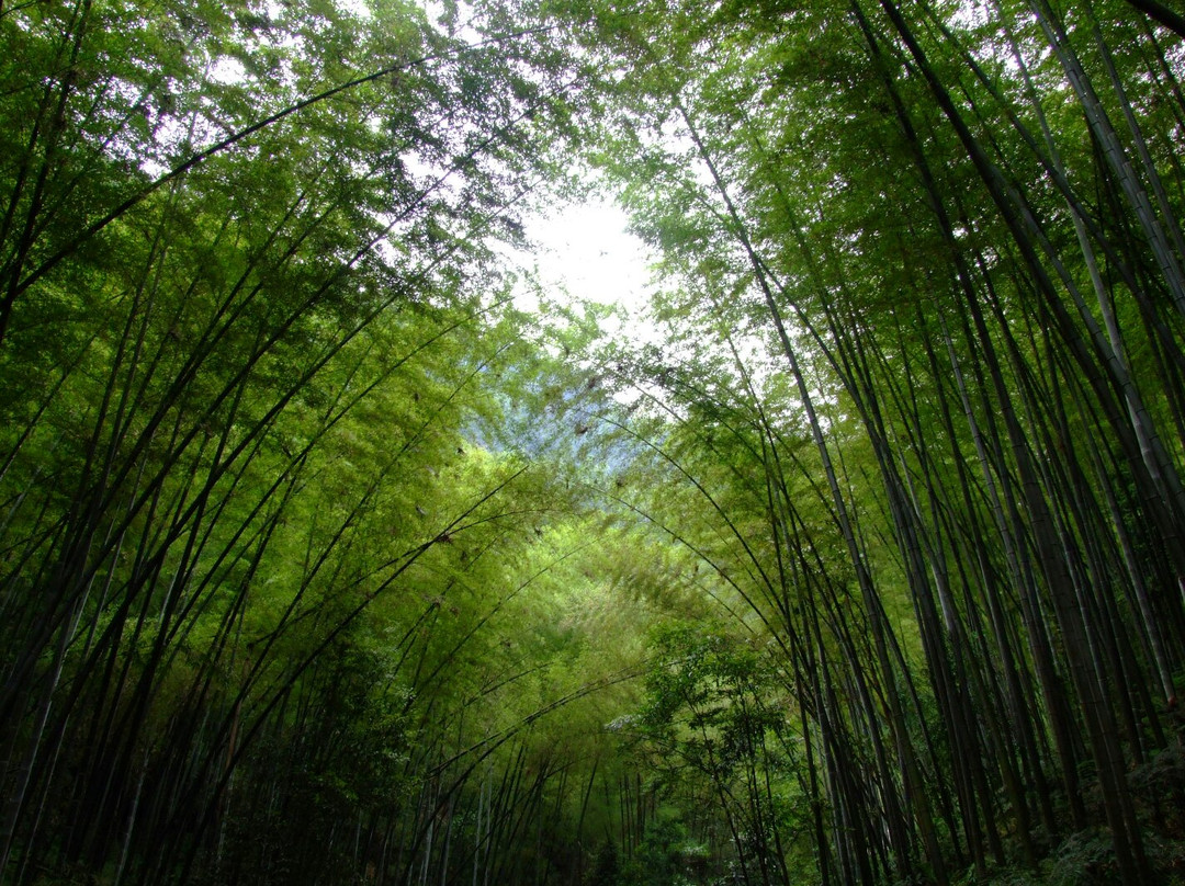 翡翠长廊景点图片