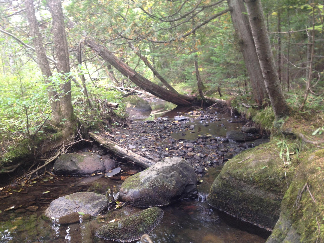 Complexe Baie-des-Sables-Lac-Megantic必去景点