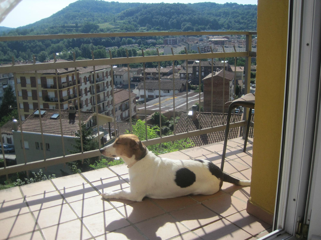 Hostal Sant Bernat主图