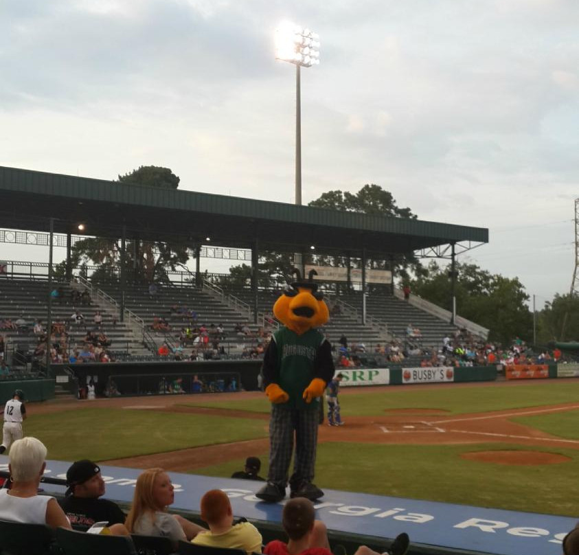 Lake Olmsted Stadium-奥古斯塔必去景点
