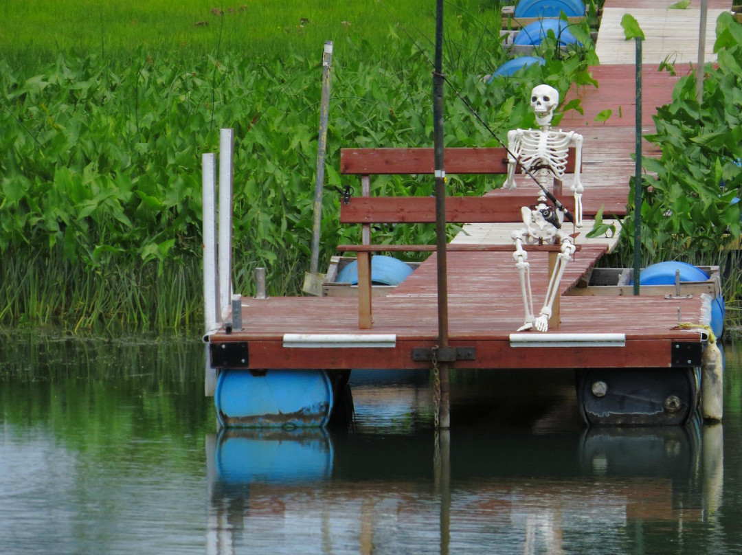 Biophare-Sorel-Tracy必去景点