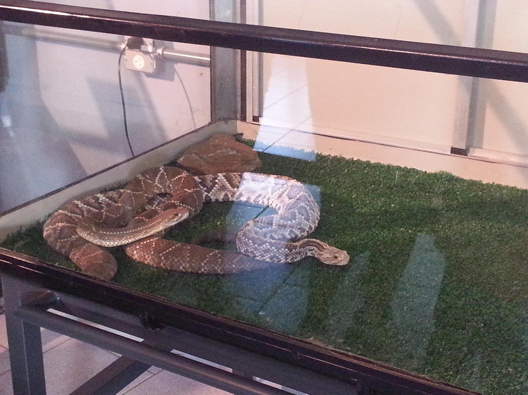 Jardim Botânico-阿雷格里港必去景点