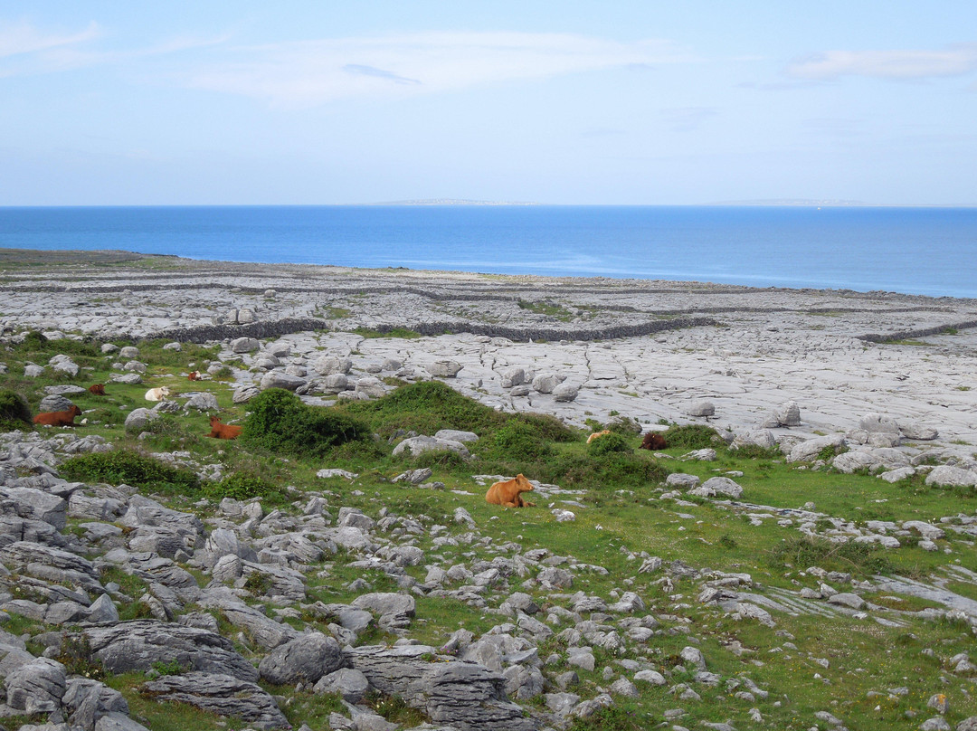 Burren Coastline Drive景点图片