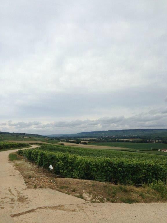 Office de Tourisme Epernay en Champagne-埃佩尔内必去景点
