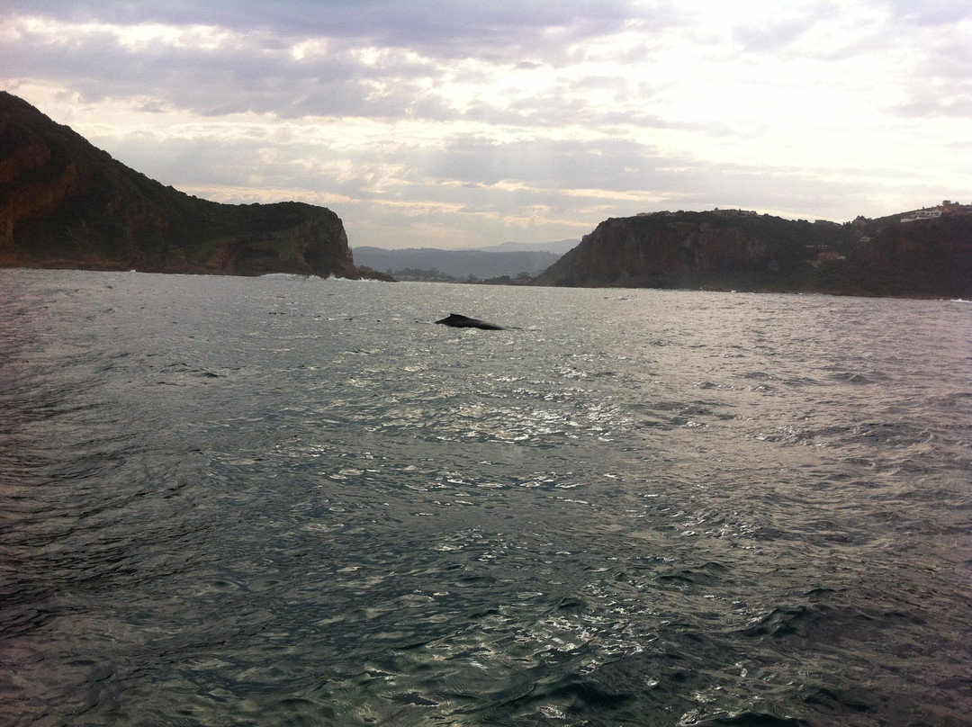 Ocean Odyssey-克尼斯纳必去景点