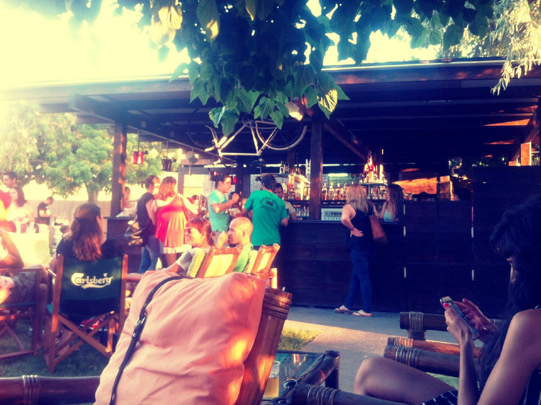 Pez Globo Beach Bar景点图片