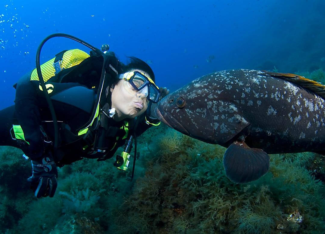 ZOEA Scuba Diving Center-圣庞沙必去景点