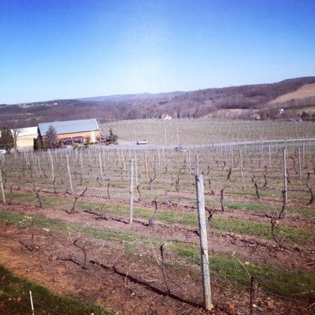 Shade Mountain Winery & Vineyard景点图片