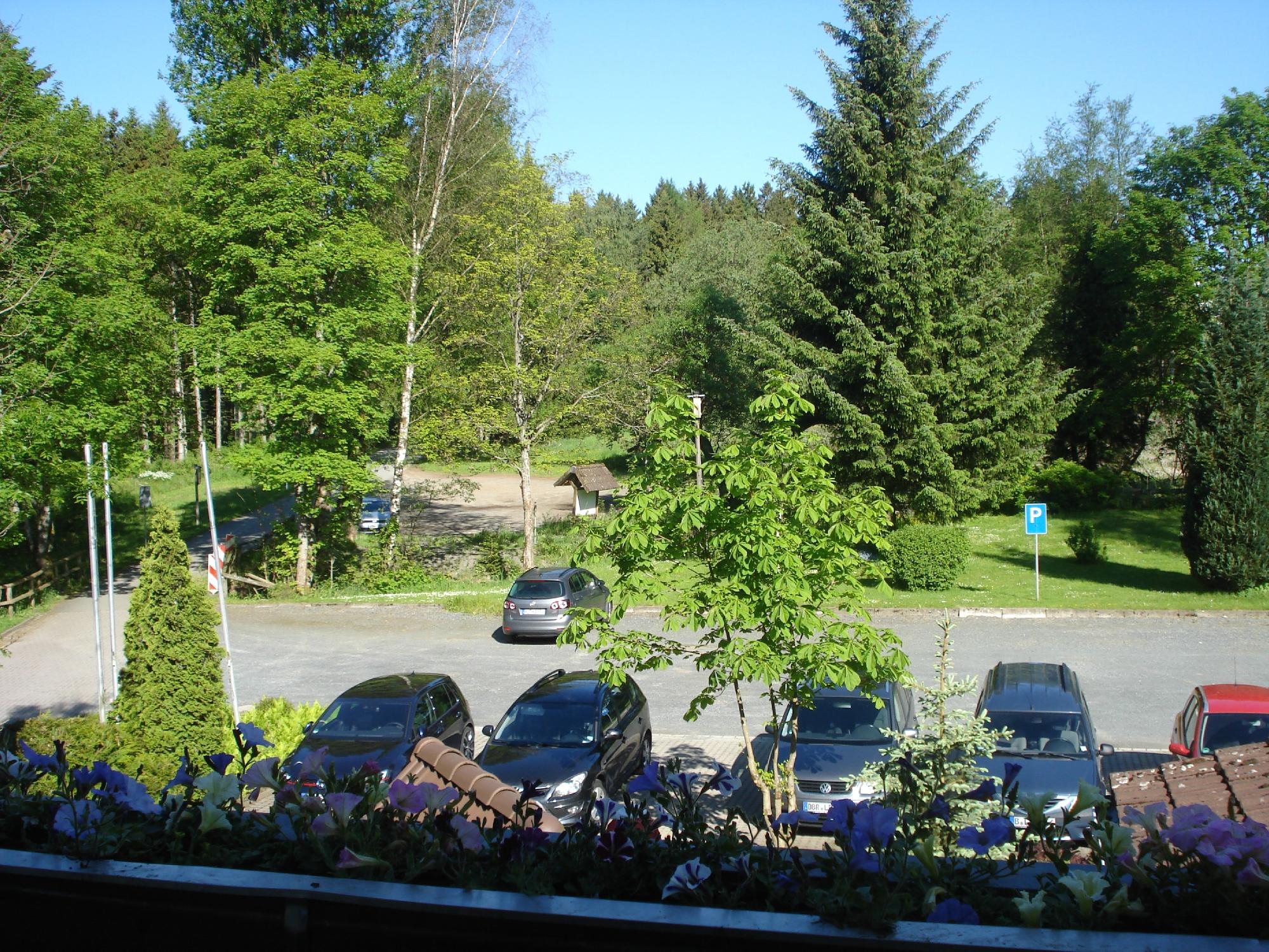 Waldhotel Pixhaier Muehle-酒店景观