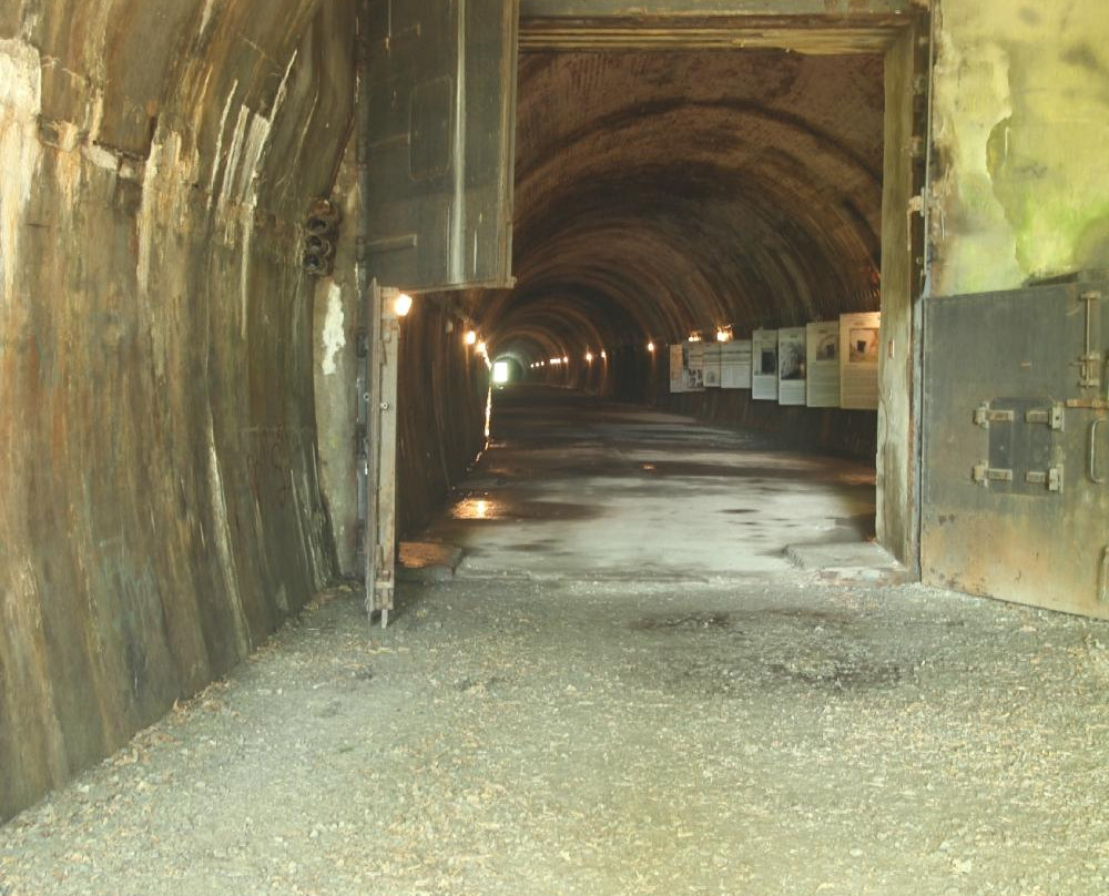 Tunel Schronowy-Strzyzow必去景点