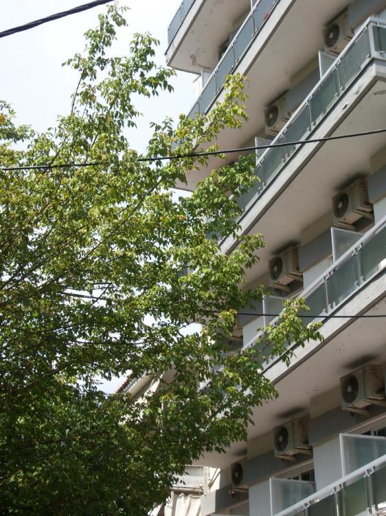 Hotel Elena Edessa-官方