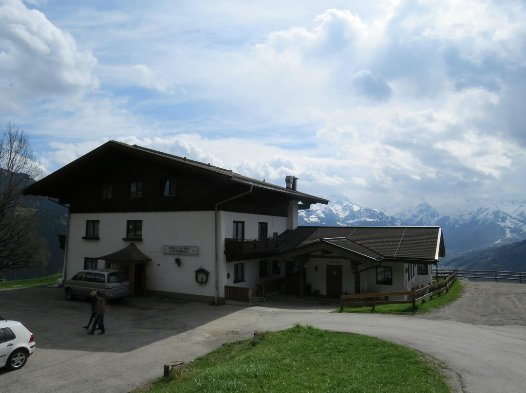 Thumersbach酒店住宿-Mitterberghof Jausenstation