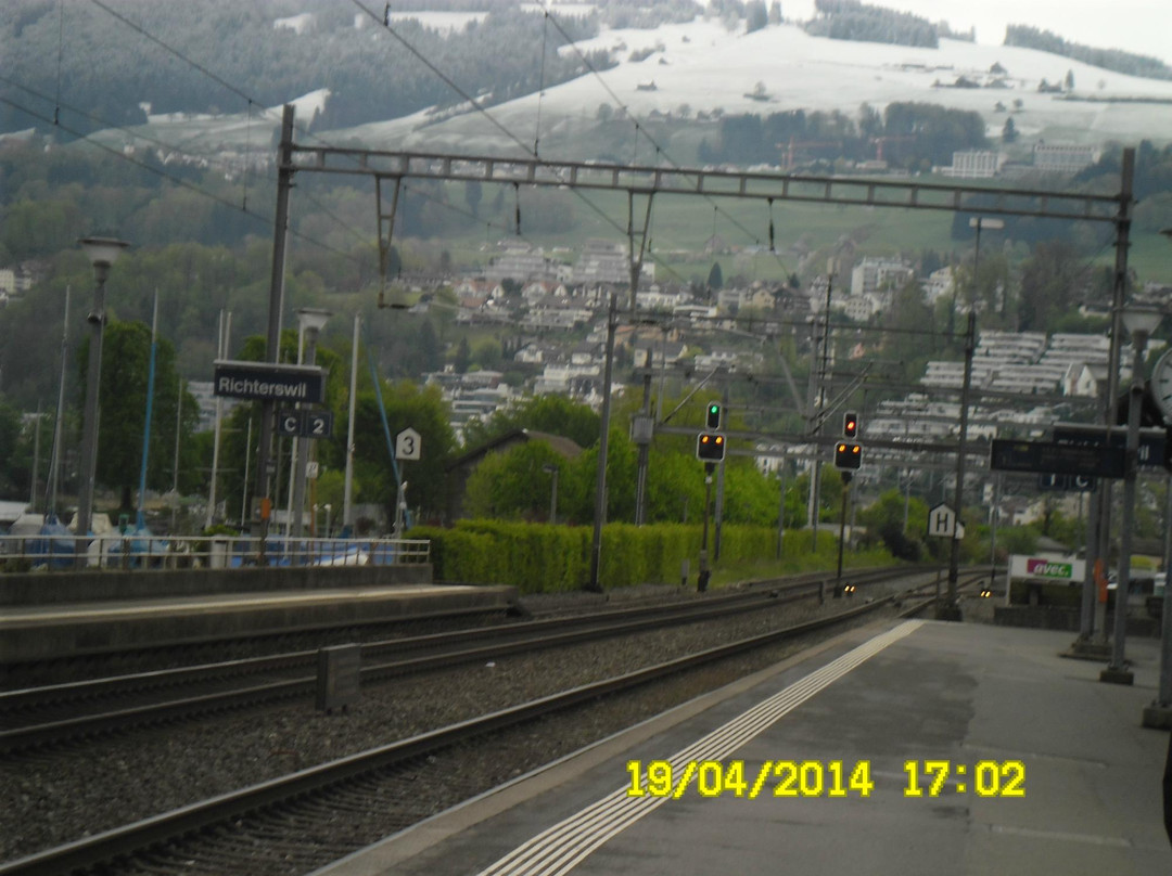 Burgruine Alt-Waedenswil-Richterswil必去景点