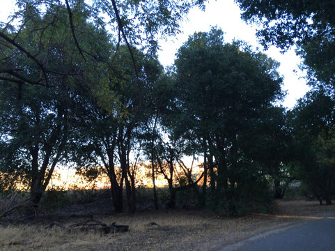 Coyote Creek Parkway Path-圣何塞必去景点