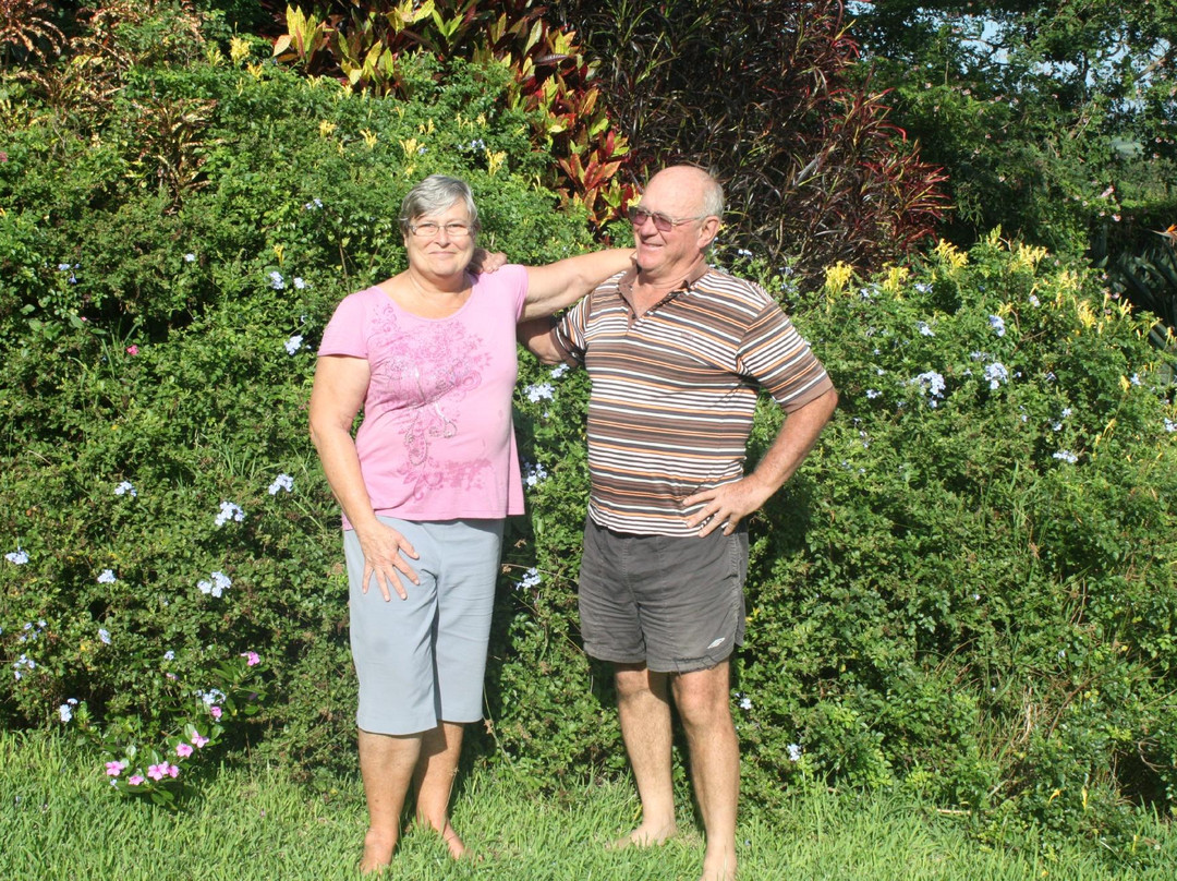 Bird and Butterfly B&B主图