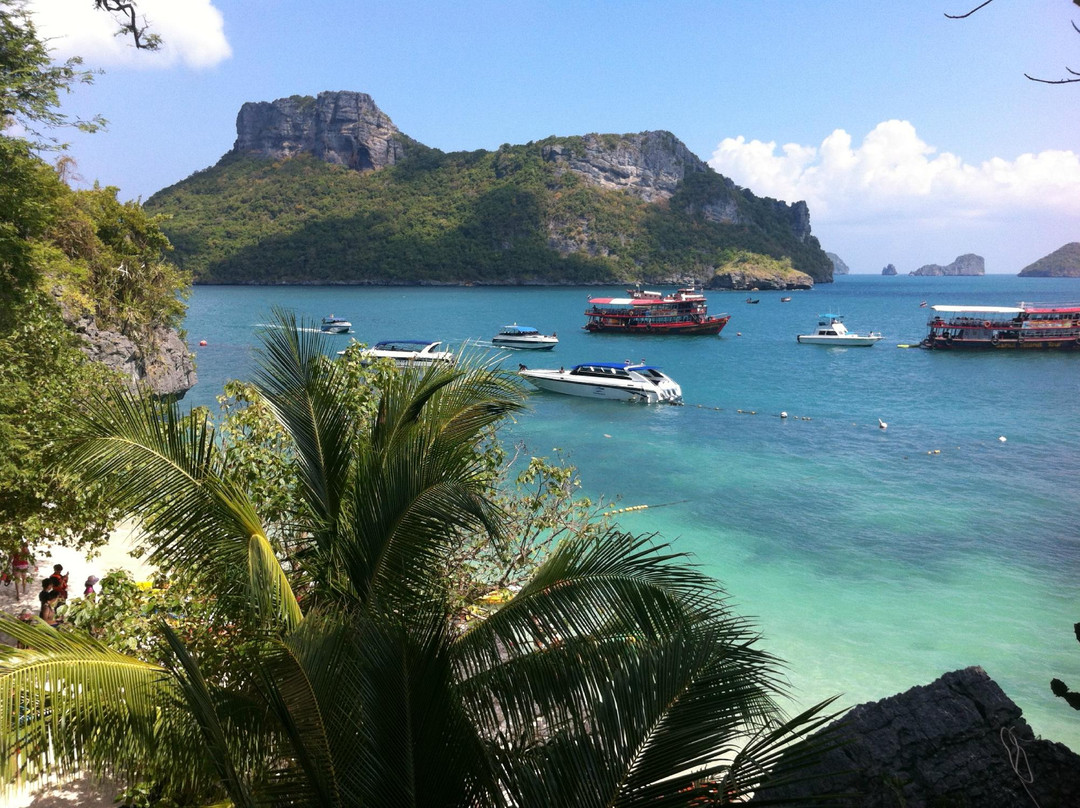 In Sea Speedboat-波普特必去景点