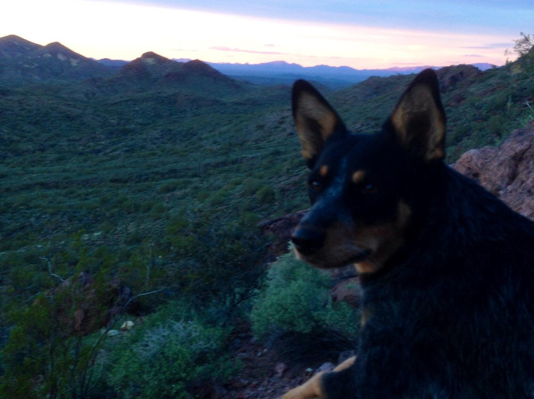 Vulture Peak Trail-Wickenburg必去景点