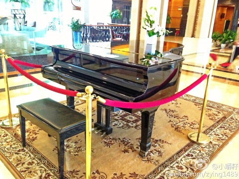 佛山枫丹白鹭酒店-客卧