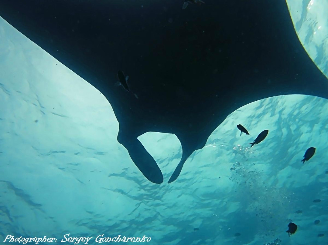 OK Club Diving Center-兰塔岛必去景点