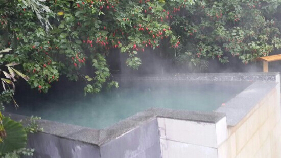 秀泉映月温泉假日酒店-客卧