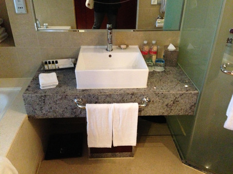 上海南桥绿地铂骊酒店主图