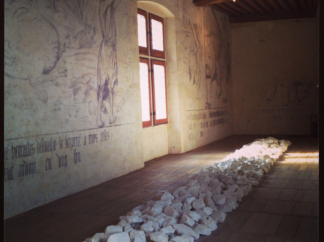 Musée d'art contemporain de la Haute-Vienne, Château de Rochechouart景点图片