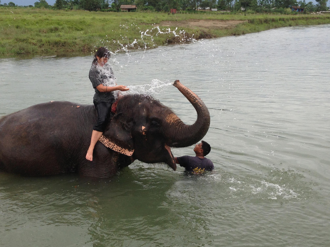 Narayani River-奇旺国家公国必去景点