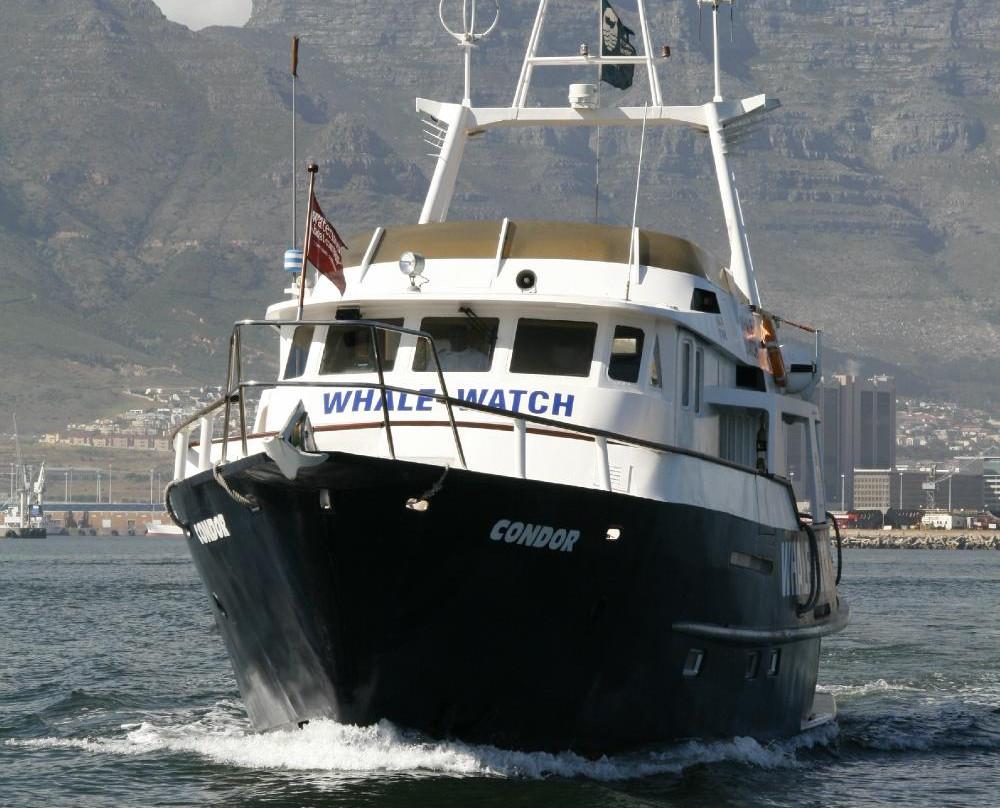 Waterfront Adventures-开普敦中心区必去景点