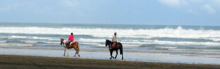 Aboutriding. Co. Nz-穆里怀海滩必去景点