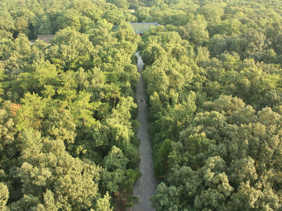 紫金山-南京市必去景点