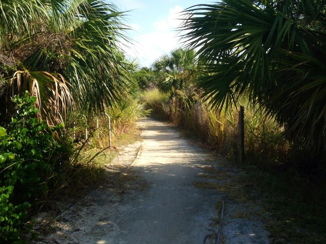 Bear Cut-比斯坎湾必去景点