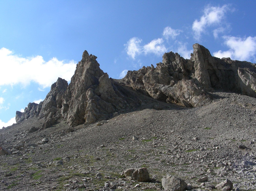 Colle Del Sommelier景点图片