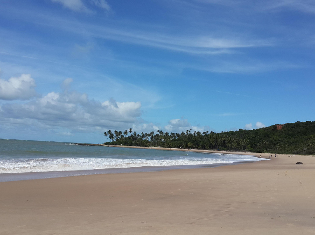 Praia do Coqueirinho-Conde必去景点
