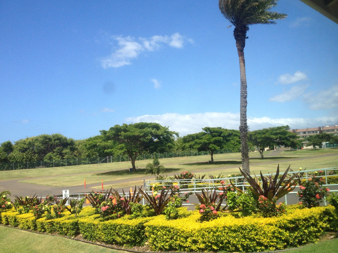 卡胡卢伊旅游攻略图片