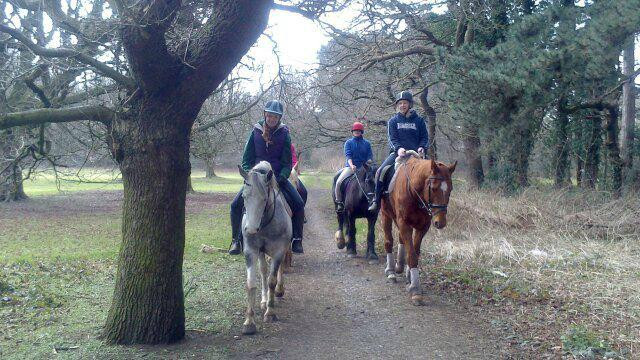 Wythenshawe Park Riding Stables景点图片