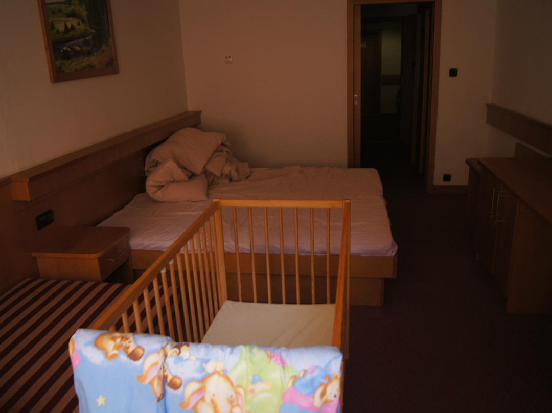 Wellness&Sport Hotel Sumava主图