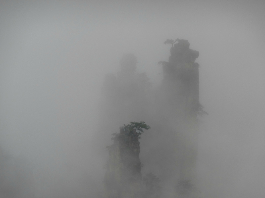 天子山云海-张家界市必去景点